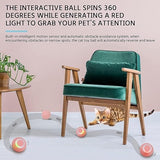 BELOXY Squeaky Ball Toy for Cats (Multicolor, Pack of 2)