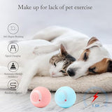BELOXY Squeaky Ball Toy for Cats (Multicolor, Pack of 2)
