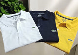Polo Neck T-Shirt for Men (Multicolor, M) (Pack of 3)