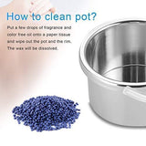 Pro Wax 100 Wax Warmer with Temperature Control