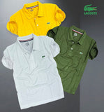 Matty Polo Tshirts in Pack of 3
