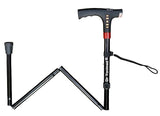 Walking Stick