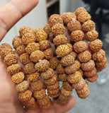 7 Mukhi Rudraksha Bracelet – Natural & Authentic Spiritual Bracelet for Prosperity, Positivity & Daily Wear
