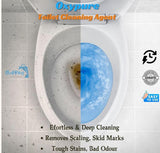 Toilet Cleaning Agent 100 gm (Pack of 2)