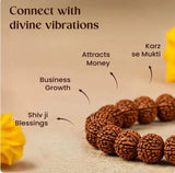 7 Mukhi Rudraksha Bracelet – Natural & Authentic Spiritual Bracelet for Prosperity, Positivity & Daily Wear