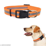 Neck Coller 0.5 inches Belt for Dog (Multicolor, M)