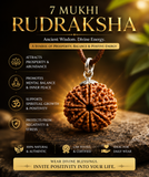 7 Mukhi Rudraksha Bracelet – Natural & Authentic Spiritual Bracelet for Prosperity, Positivity & Daily Wear